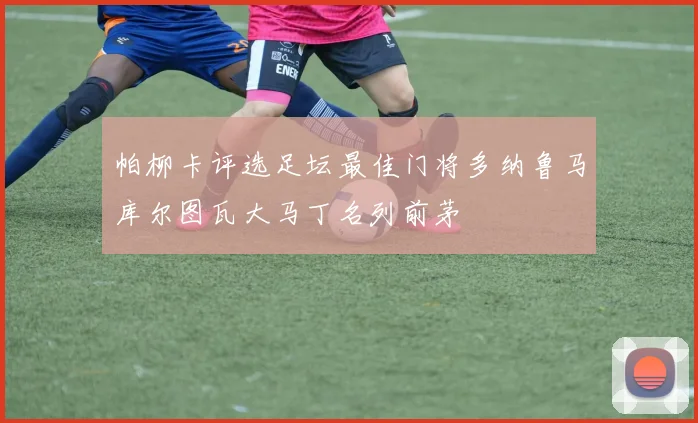 帕柳卡评选足坛最佳门将多纳鲁马库尔图瓦大马丁名列前茅