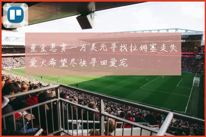 重金悬赏一万美元寻找拉姆塞走失爱犬希望尽快寻回爱宠