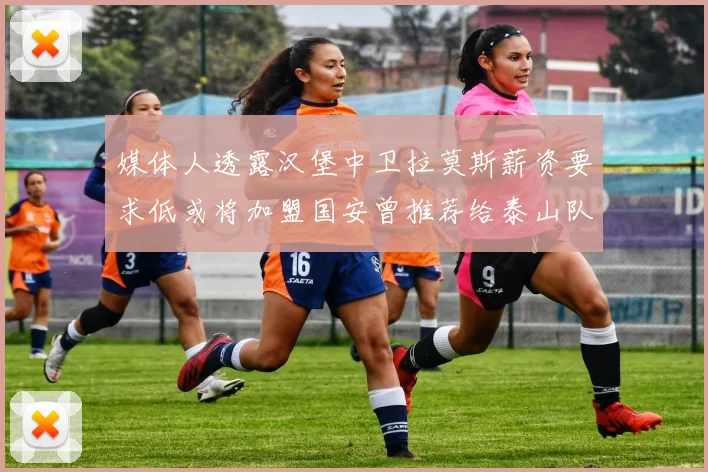 媒体人透露汉堡中卫拉莫斯薪资要求低或将加盟国安曾推荐给泰山队