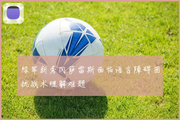 绿军新秀冈萨雷斯面临语言障碍困扰战术理解难题