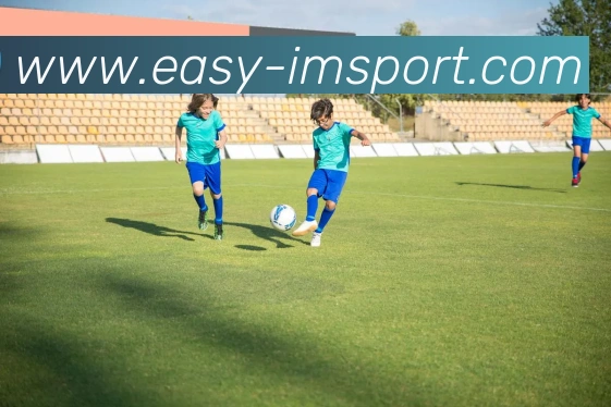 IM体育APP 封面图